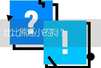 比比熊还小的狗？