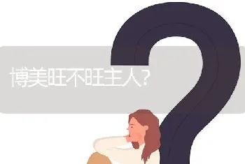 博美旺不旺主人？