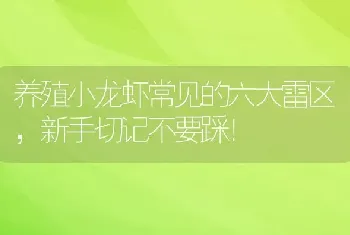 养殖小龙虾常见的六大雷区，新手切记不要踩！