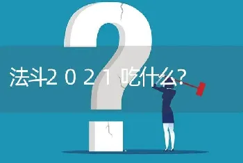 法斗2021吃什么？