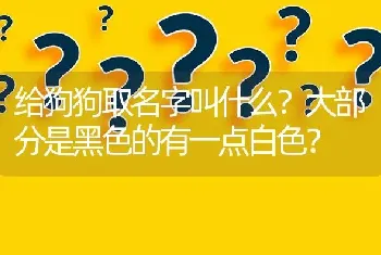 给狗狗取名字叫什么？大部分是黑色的有一点白色？