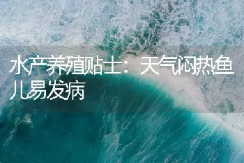 水产养殖贴士：天气闷热鱼儿易发病