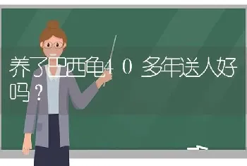 养了巴西龟40多年送人好吗？