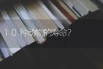 10种动物的寿命？