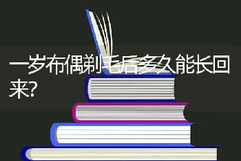 一岁布偶剃毛后多久能长回来？