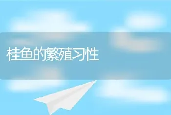 桂鱼的繁殖习性