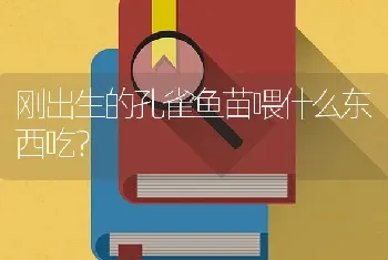 刚出生的孔雀鱼苗喂什么东西吃？