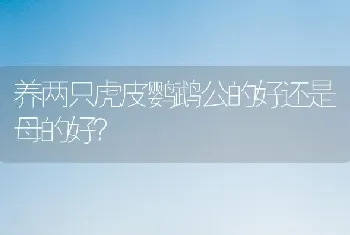 狗狗得了细小后治疗了几天开始找东西吃了，是不是说明病好了？