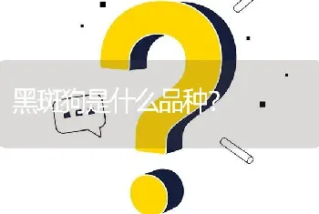 黑斑狗是什么品种？