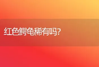 红色鳄龟稀有吗？