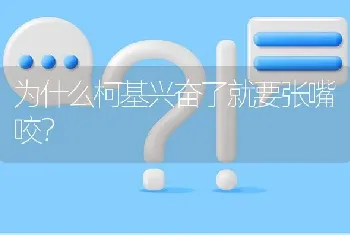 为什么柯基兴奋了就要张嘴咬？