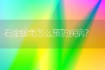 石金钱龟怎么預防疾病？