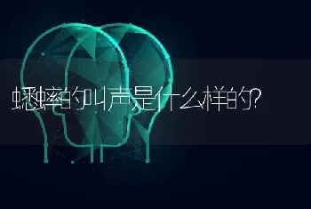 蟋蟀的叫声是什么样的？