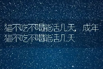 猫不吃不喝能活几天，成年猫不吃不喝能活几天