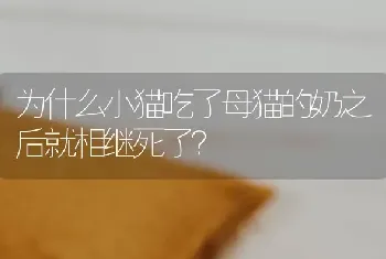 为什么小猫吃了母猫的奶之后就相继死了？