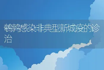 鹌鹑感染非典型新城疫的诊治