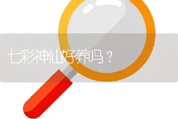 七彩神仙好养吗？