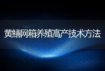 黄鳝网箱养殖高产技术方法