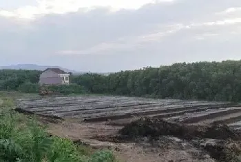 蚯蚓规模化关键养殖技术介绍