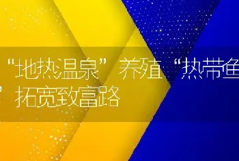 “地热温泉”养殖“热带鱼”拓宽致富路