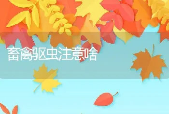 畜禽驱虫注意啥