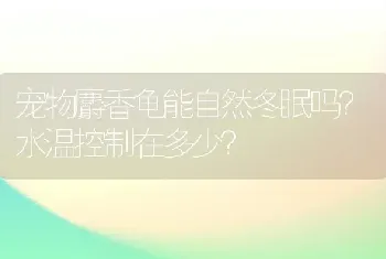 宠物麝香龟能自然冬眠吗？水温控制在多少？