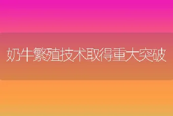 鹌鹑养殖技术（下）