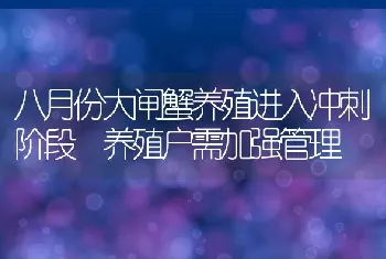 八月份大闸蟹养殖进入冲刺阶段养殖户需加强管理