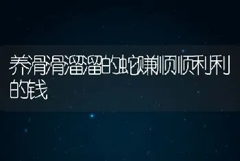 养滑滑溜溜的蛇赚顺顺利利的钱