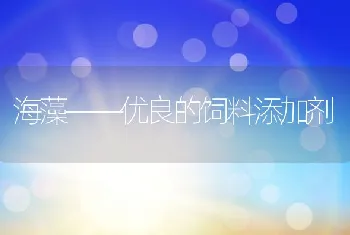 海藻——优良的饲料添加剂