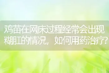 鸡苗在网床过程经常会出现糊肛的情况，如何用药治疗?