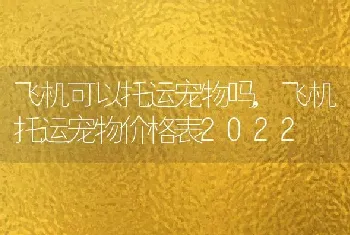 飞机可以托运宠物吗，飞机托运宠物价格表2022