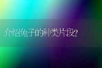 介绍兔子的种类片段？