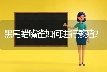 黑尾蜡嘴雀如何进行繁殖？