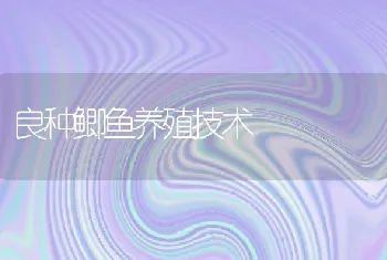 良种鲫鱼养殖技术