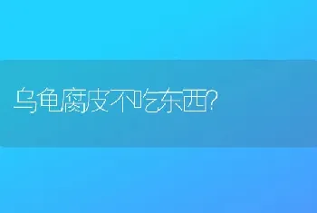 世界上有几种兔？