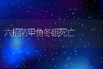 六招防甲鱼冬眠死亡