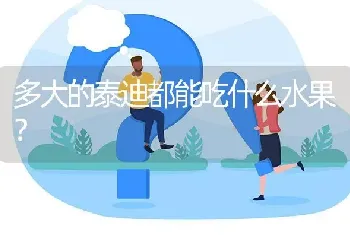 边牧能感受被宠爱吗？