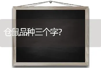 11个月法斗一天吃几顿？