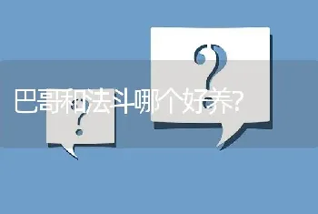 巴哥和法斗哪个好养？