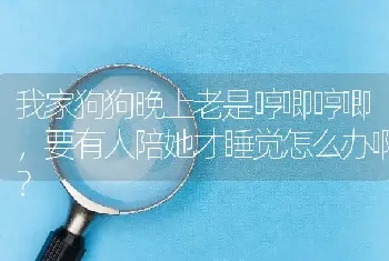 我家狗狗晚上老是哼唧哼唧，要有人陪她才睡觉怎么办啊？