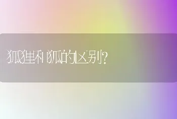 狐狸和狐的区别？