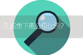 孔雀鱼下崽公母比例？