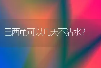 比熊几个月到几个月期间会明显长大？