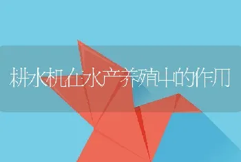 淡水小龙虾的综合养殖技术