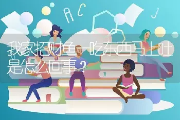 我家招财鱼一吃东西马上吐是怎么回事？