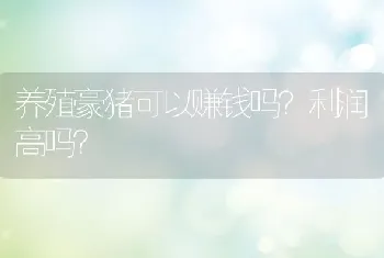 养殖豪猪可以赚钱吗？利润高吗？