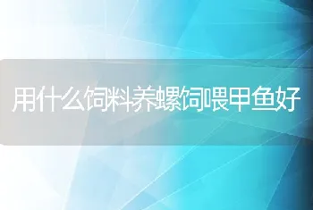 用什么饲料养螺饲喂甲鱼好