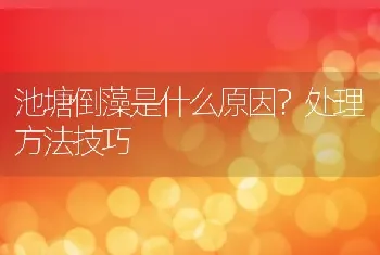 池塘倒藻是什么原因？处理方法技巧