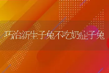 泥鳅池塘养殖技术